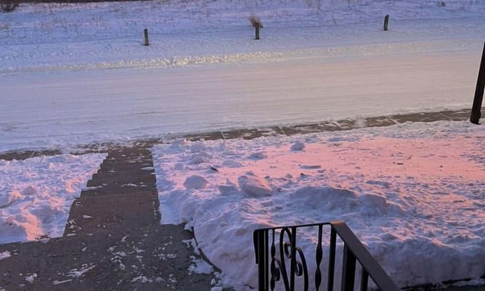 Northwest Calgary Bed & Breakfast | Cozy Nest B&B