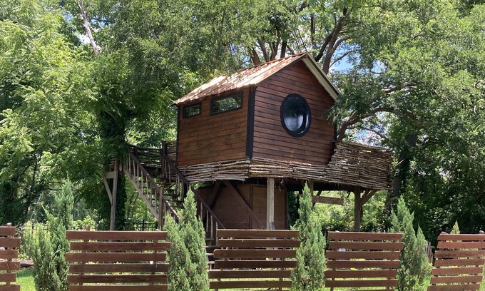 Willis House | Cozy Treehouse on Lake Conroe w/large nest deck with a creek view