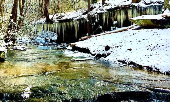 Revelo Cabin | Creek side cabin, Blair Creek Resort - Cabin #2