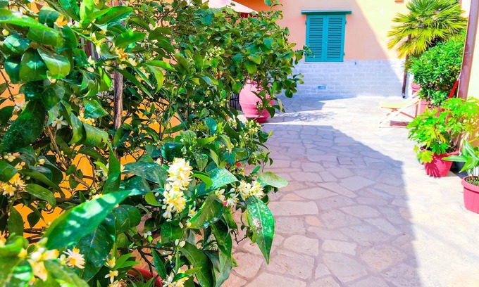Nozzano Castello Apartment | Cuore di Nozzano Castello