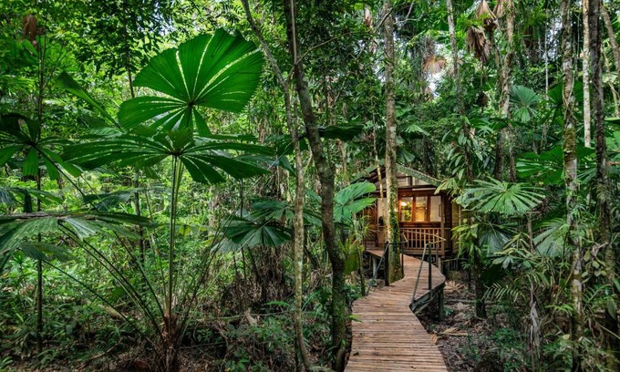Diwan Resort | Daintree Wilderness Lodge