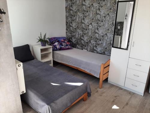 Mikoszewo Apartment | Delfin