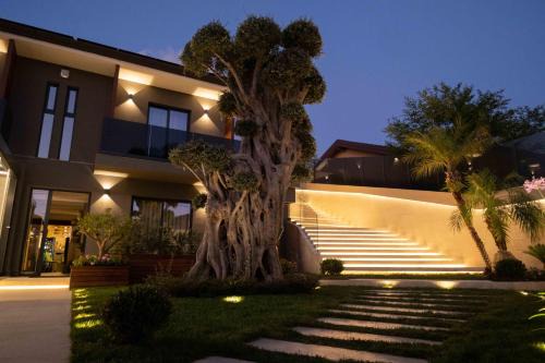 Mascalucia Bed & Breakfast | Divina Charme