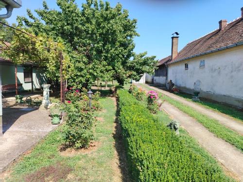 Zasavica Apartment | Domaćinstvo Zasavica