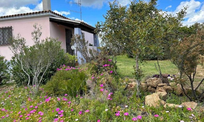 Orosei Apartment | Domo su Neulache App Verde- Sos Alinos