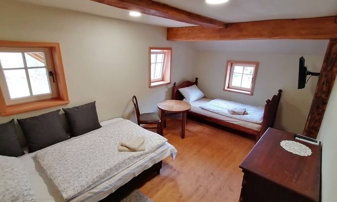 Seifhennersdorf Apartment | Double room for 2 guests with 15m² in Seifhennersdorf (273349)