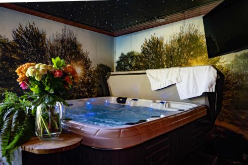 Erm Ski Chalet | Drents Genieten - Dopheide met privé jacuzzi en sauna