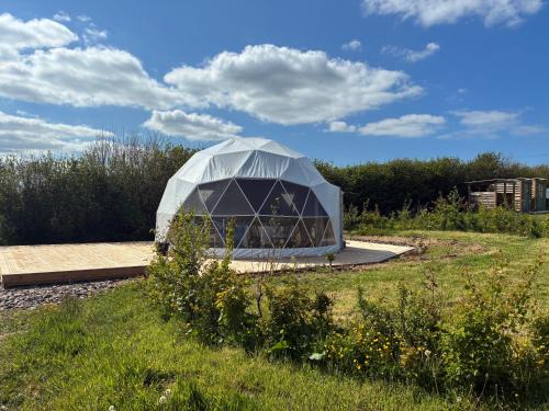 Bideford Other | Dyers Meadows Camping