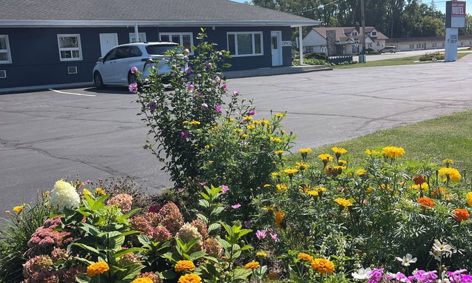 Sarnia Hotel | East Court Motel