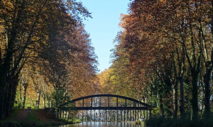 Meilhan-sur-Garonne Cottage | Eco cottage "In the Garden" at the edge of the side channel of the Garonne and the greenway