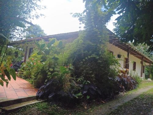 Dagua House | Ecopolis finca