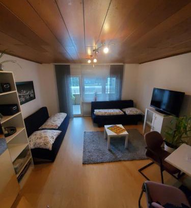Mietersheim Apartment | Einzimmerwohnungmit großem Balkon