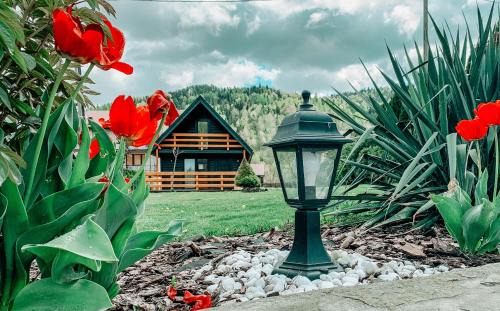 Jelesnia Ski Chalet | Eko Domek w górach