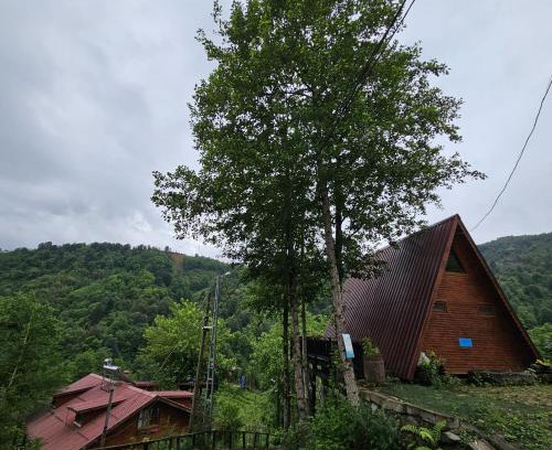 Pazar Cabin | Elagza Dag Evi