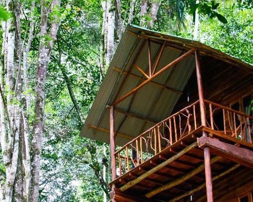 Ella Cabin | Ella Ecolodge