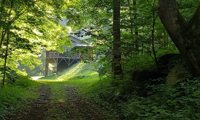 Marshall House | Elysium Falls deep in the Laurels