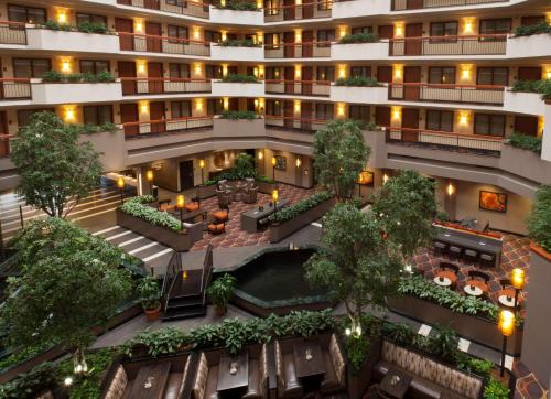 Gateway Hotel | Embassy Suites by Hilton Austin Arboretum