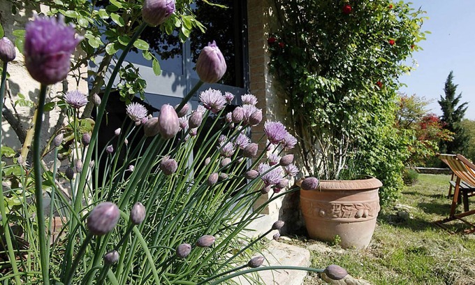 San Casciano in Val di Pesa Other | ERTA indipendent large house in the Chianti with pool use