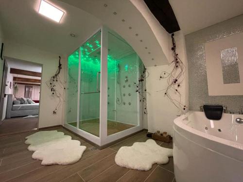 Bad Zurzach Apartment | Escape Private SPA II