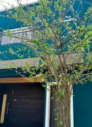Concepcion del Uruguay Apartment | Esmeralda Dúo