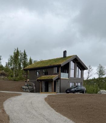 Al Municipality Ski Chalet | Exclusive cabin with sauna and mountain view in Geilo