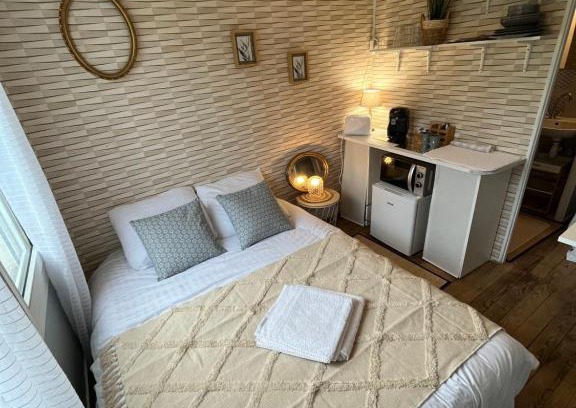 Saint-Julien Apartment | Face au château , chambre hyper centre