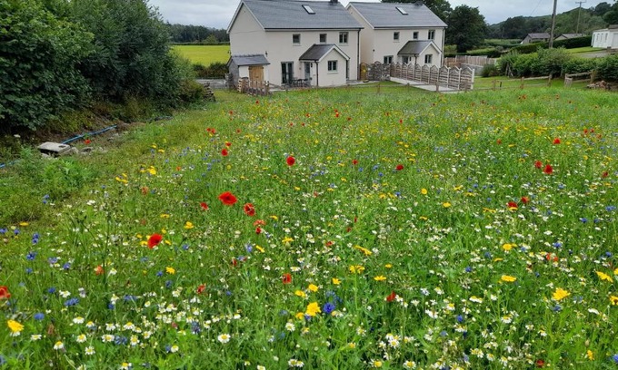 Llandovery House | Family Country Cottage with Stunning Mountain Views