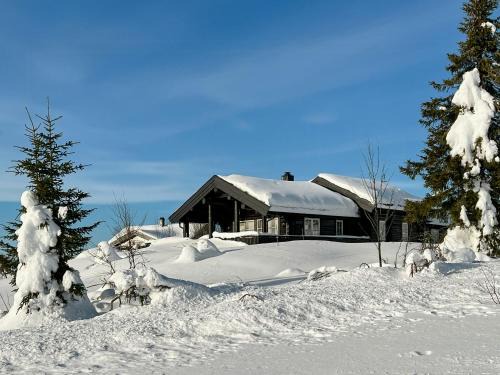 Trysil House | Family-Friendly Log Cabin With Panoramic View
