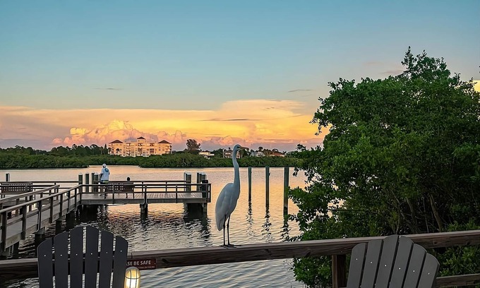 Indian Shores Hotel | Family Getaway! Two Amazing Units, Kitchen, Bbq Facilities, Outdoor Pool!