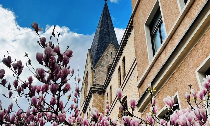 Giebichenstein Apartment | Favorit III apartment for max. 4 persons Körnerstraße 06114 Halle