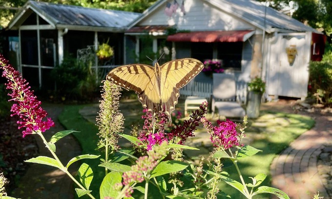 Hendersonville Cottage | FEATHERSTONE! Unique Cottage Getaway in Hendersonville, N.C.
