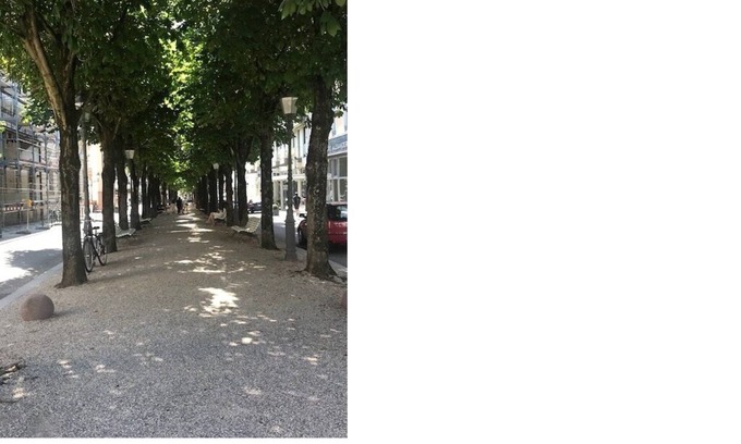 Baden Baden Old Town Apartment | Feel-good oasis in the center of Baden-Baden