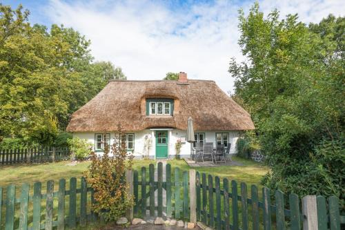 Ostenfeld House | Ferien unter Reet