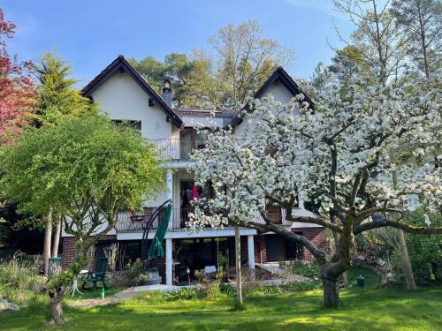 Bad Saarow Apartment | Ferienwohnung "Hedwig"