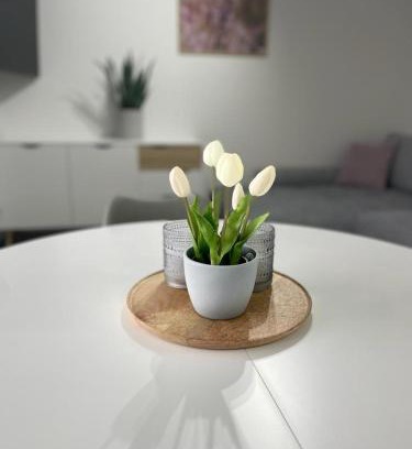 Soltau Apartment | Ferienwohnung Johannes