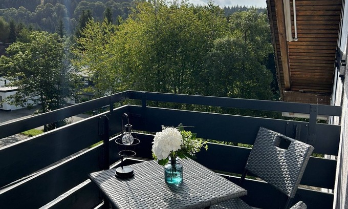 Glindfeld Apartment | Ferienwohnung Juli - neu Renovierte, Moderne Ferienwohnung
