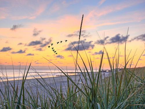 Juliusruh Apartment | Ferienwohnung Strandkörbchen