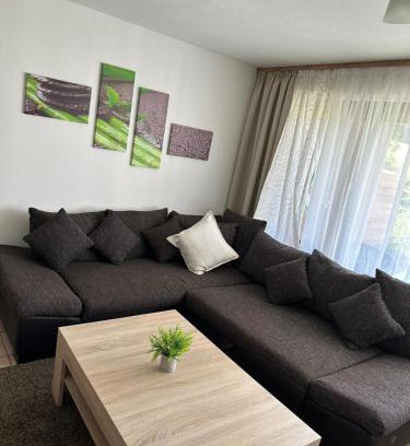 Herrenschwand Apartment | Ferienwohnung Waldblick