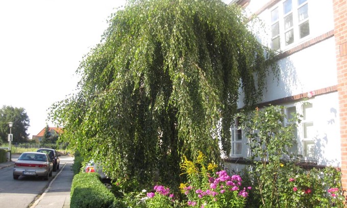 Husum Apartment | Ferienwohnungen Hebbel