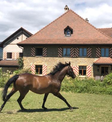 Auvernier Apartment | Ferme de Grandchamp