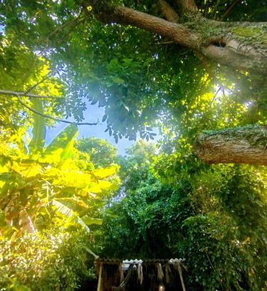 Mangaratiba House | Filhas da Terra Jaguanum
