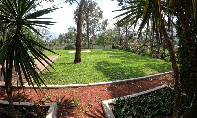 Acatlan Other | Finca del Pomar