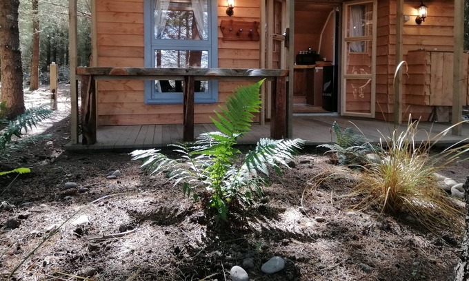 Ashwick Flat Apartment | Forest cabin nature's Best offering, a hidden gem of a little cabin