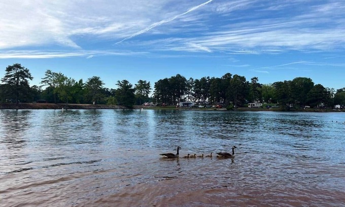 Westminster Condo | Forest Comfort Modern 2BR by Lakes & Clemson