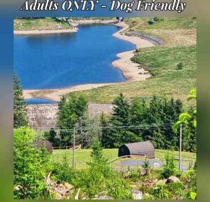 Ponterwyd Other | Forester's Retreat Glamping - Cambrian View- Vaccinated dogs over the age of 2 are accepted