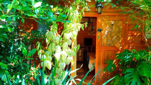 Durfort-et-Saint-Martin-de-Sossenac Bed & Breakfast | Le Portel des Arnaud Chambres d'Hôtes