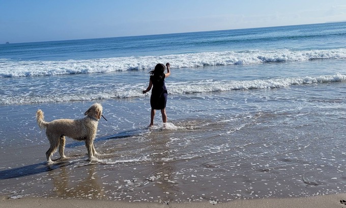Papamoa Beach House | Fully fenced. Family and pet friendly.nLocated close to Beach and shoppingn