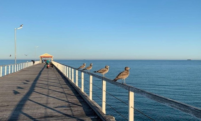 Royal Park House | Fully self contained & equipped. Modern and spacious executive townhouse living near the beach.