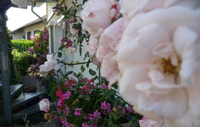 Kirn-Sulzbach Apartment | Gästehaus Rosengarten im Nahetal