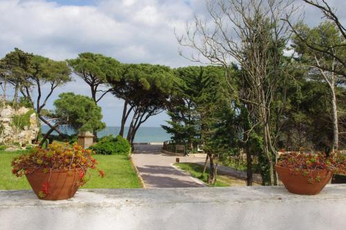 Sant Marti d'Empuries House | Galliner